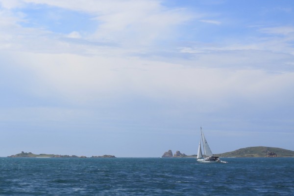 Nice day for a sail!