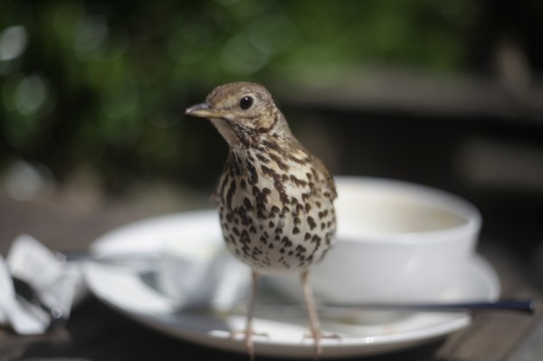 What are you looking at?