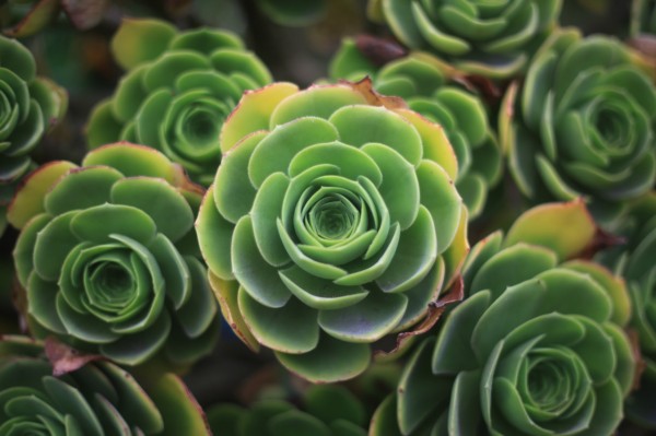 It's almost like I set out to create a stereotypical desktop background