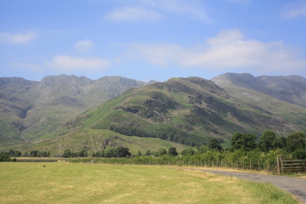 The way up - The Band