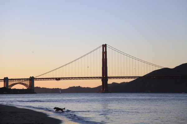 Golden Gate Bridge, San Francisco at Dusk, November 2013