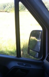 The [passenger side] window in question - right above the door handle!